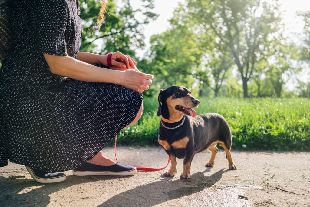 Woman squats next to a small black wiener dog in a dog park